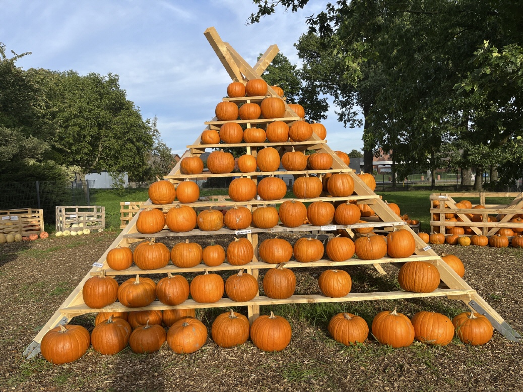 Klostermeier Kürbis-Pyramide